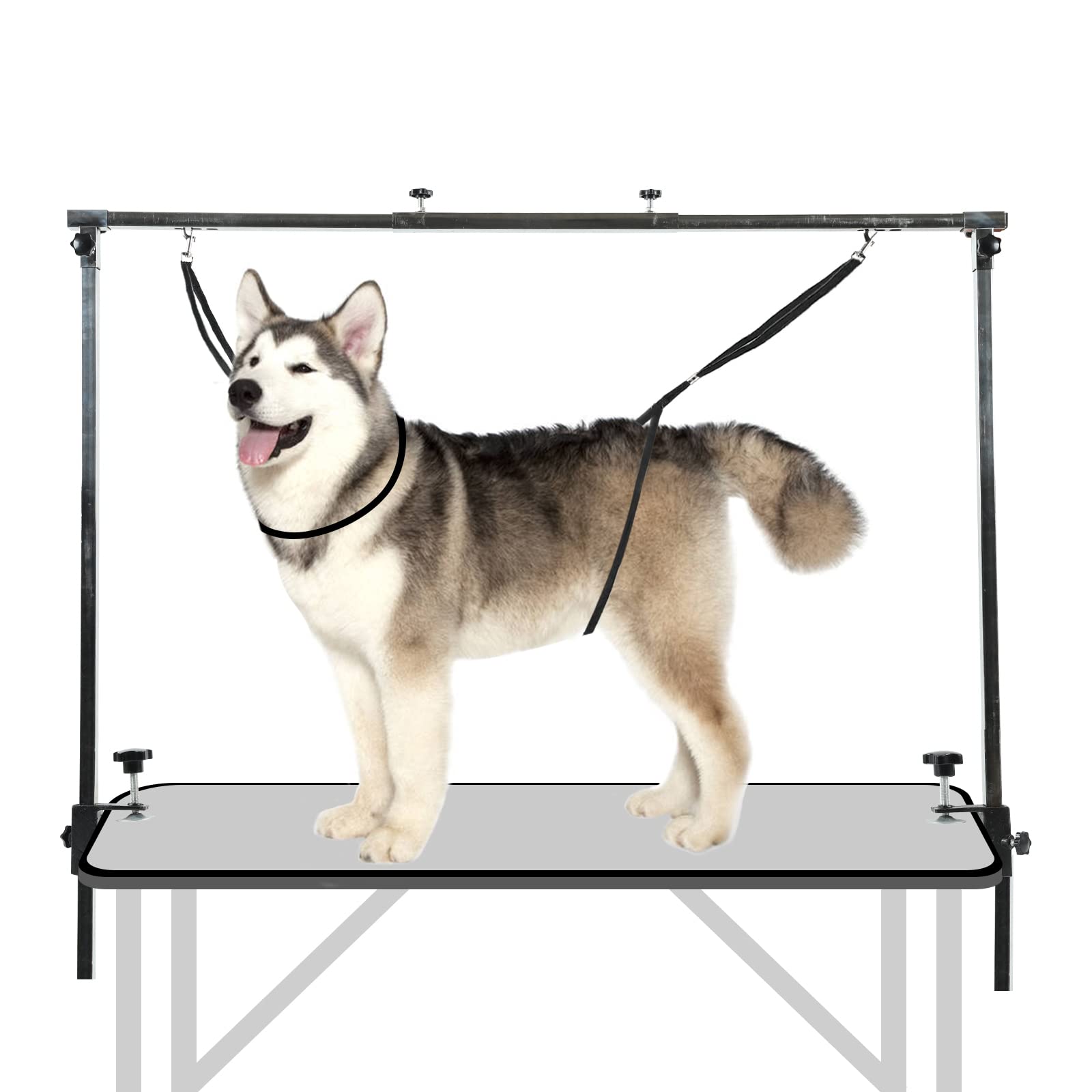 Confote Stainless Steel Adjustable Overhead Pet Grooming Arm With Clamps And Loop Nooses