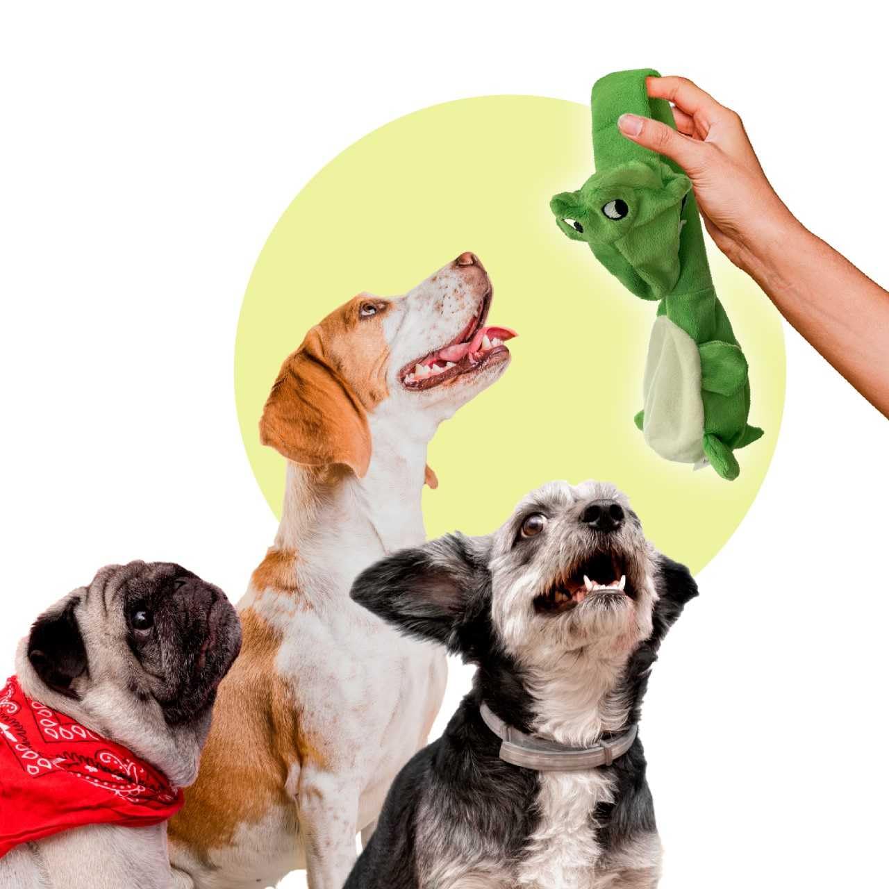 Trenton Gifts Extra Long Stuffing Free Dog Toys With Squeaker. Set Of 2. Giraffe And Alligator