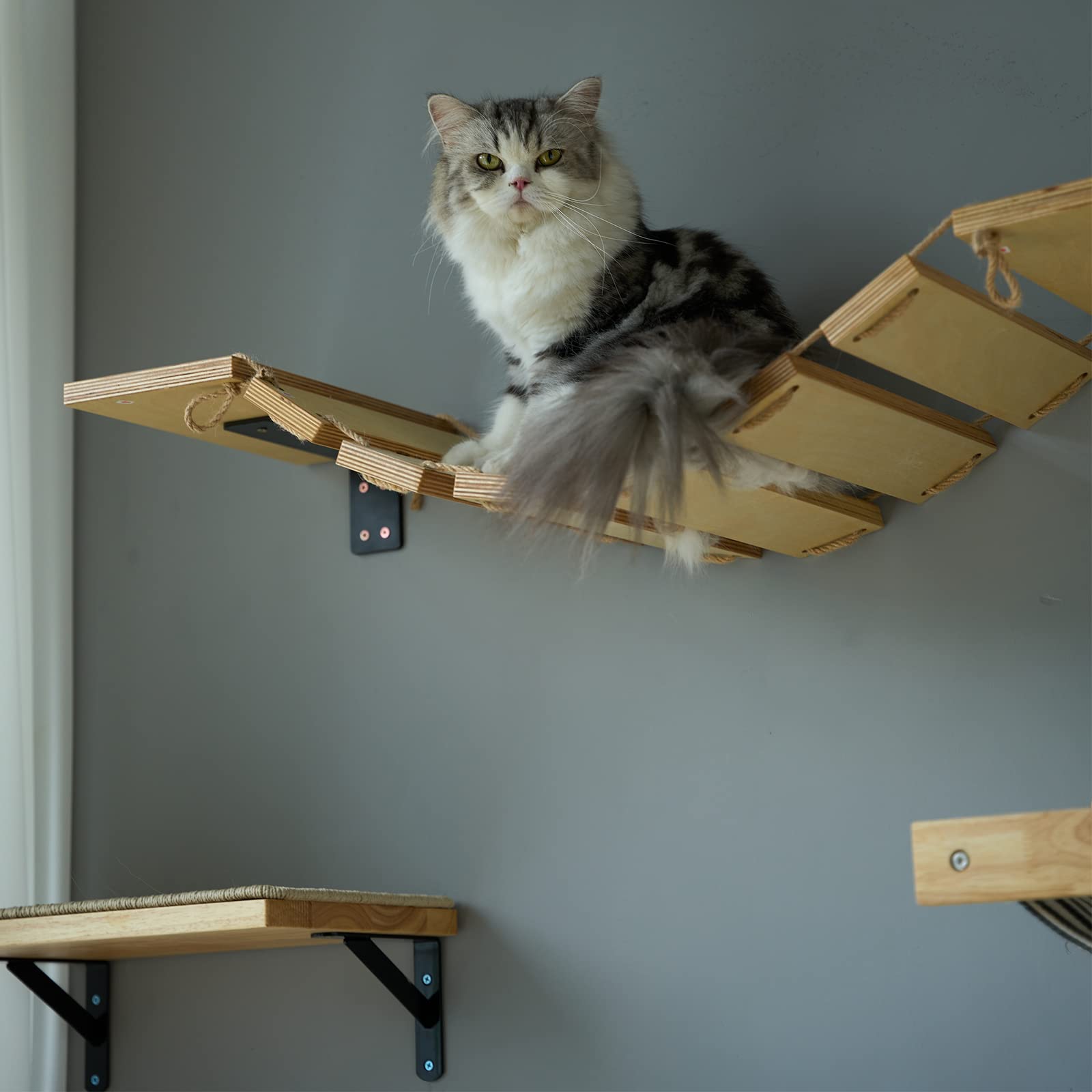 Fukumaru Cat Bridge Wall Mounted, 12.8-Inch Expanded Feline Perch & Climbing Steps For Custom Kitten Highway Systems, Multi-Level Wall Shelves Furniture