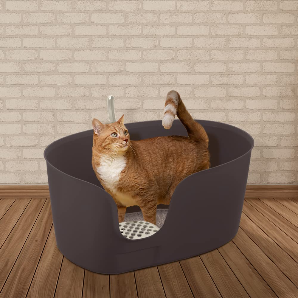 Richell Paw Trax High Wall Cat Litter Box - Extra Large, Brown, Plastic, Wide - Model G0803840600375