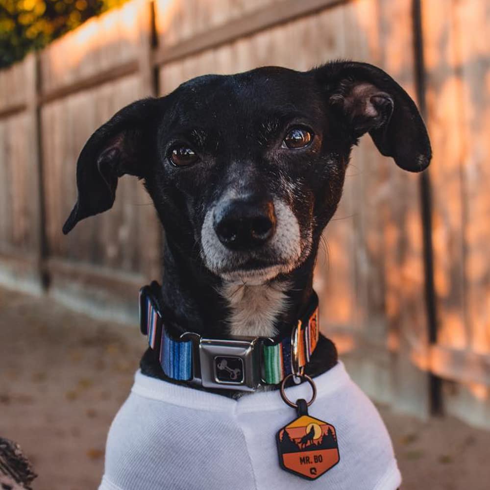 Buckle-Down Seatbelt Buckle Dog Collar - Zarape2 Vertical Multi Color Stripe - 1.5' Wide - Fits 18-32' Neck - Large