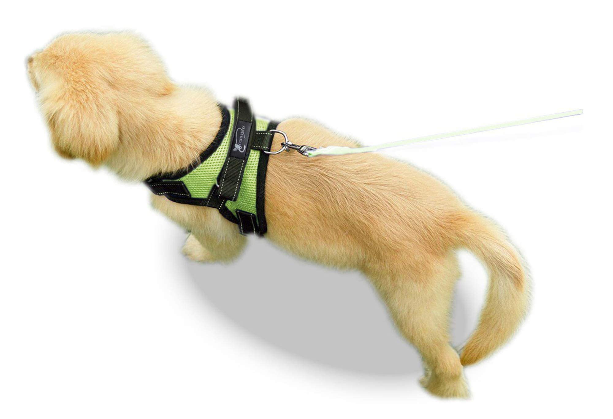 Copatchy No Pull Reflective Adjustable Dog Harness With Handle (X-Small, Green)
