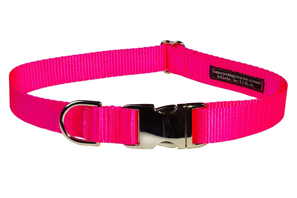 Small Neon Pink/Aluminum Buckles Dog Collar: 5/8 Wide, Adjusts 10-14 - Made in USA.