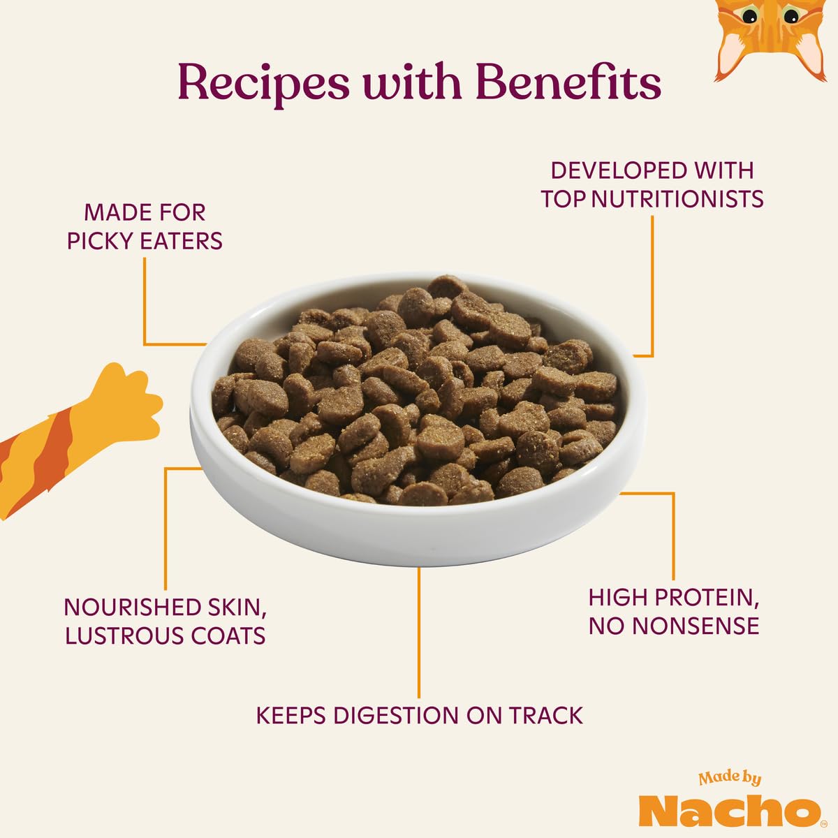 Made by Nacho Bone Broth Infused Dry Cat Kibble - Sustainably Caught Salmon and Pumpkin - Premium Grain-Friendly Cat Food 4lb Ba