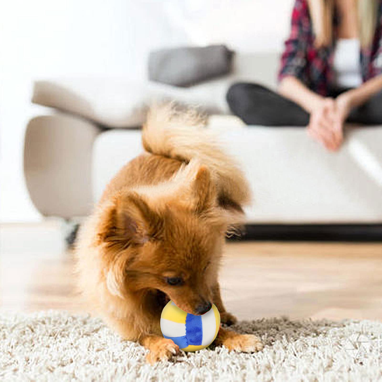 TONYFY Dog Toys - Chewable Plush Volleyball, Soft Squeaky Ball for Dogs, 3.9in, Durable Cotton, Blue, Ideal for Small to Medium Breeds