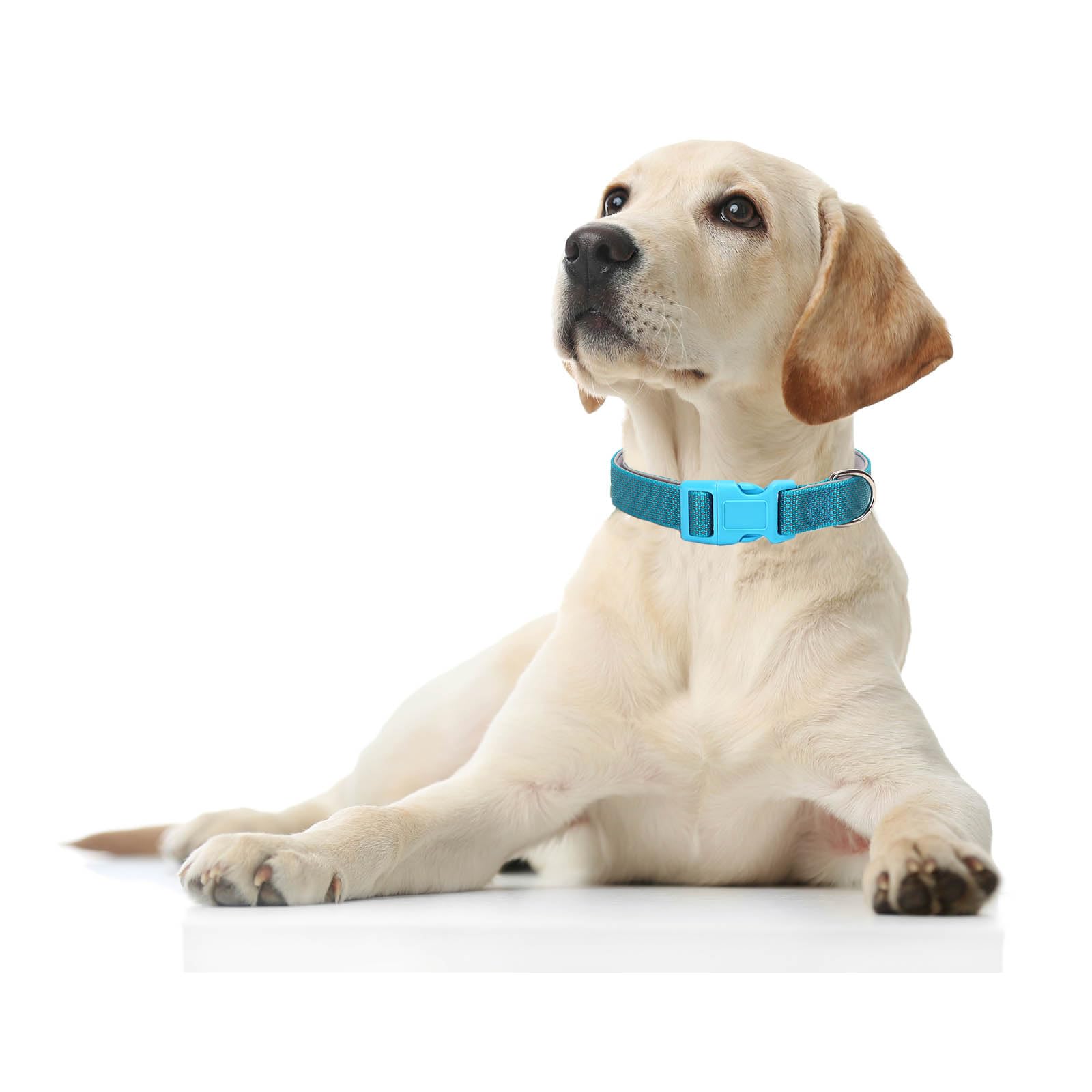 Reflective Dog Collar Padded-4 Size, Breathable Nylon Soft Neoprene Pet Collar For Small Medium And Large Dogs (Blue, S)