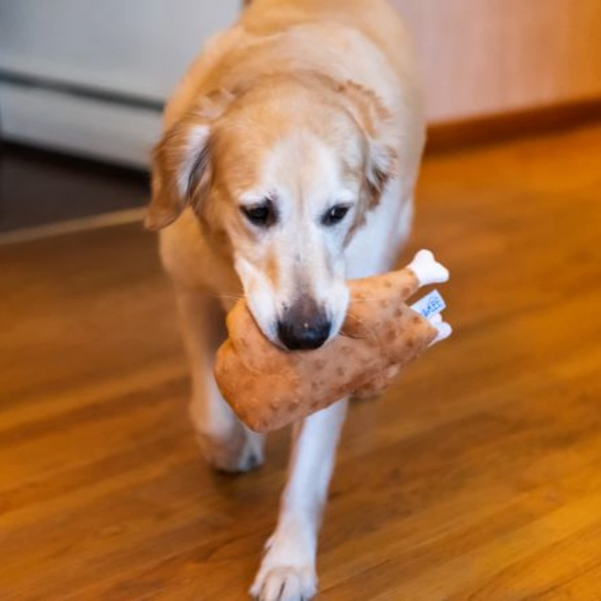 Midlee Plush Roasted Thanksgiving Turkey Dog Toy, Large, Multi Color