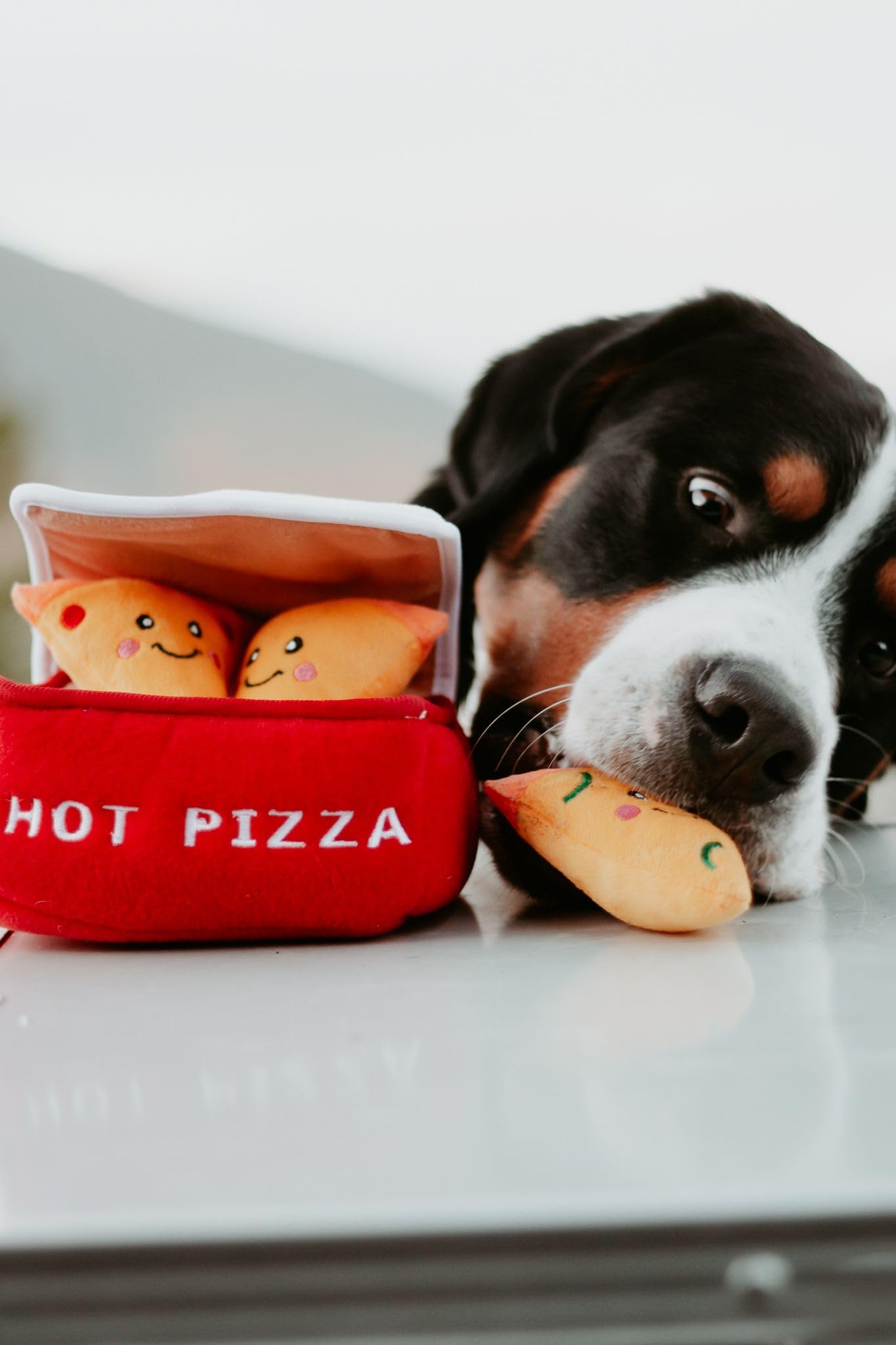 ZippyPaws Burrow- Interactive Dog & Puppy Toys for Boredom, Stimulating Pet Products to Keep Them Busy, Hide & Seek Plush Dog Pu