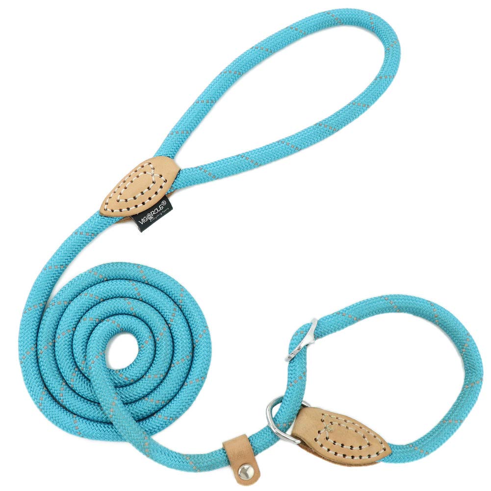 Grand Line Slip Lead Dog Leash, 5Ft Reflective Slip Rope, Puppy Training Walking Controlling Lead, Slip Collar Pet Leash For Small, Medium, Large Dogs (Blue, Medium-2/5In X 5Ft)