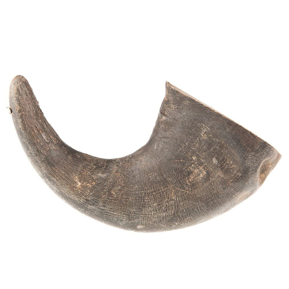 Qt Dog - Buffalo Horn Medium
