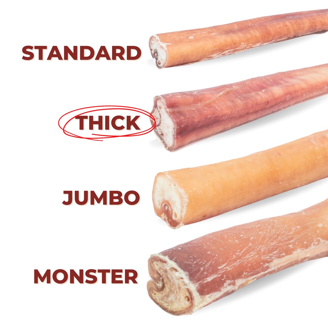 Bully Bunches Premium 6 Inch Thick Odor-Free Bully Sticks for Small & Medium Dogs - Long Lasting Chews for Oral Care- All Natura