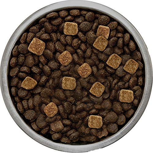 Merrick Backcountry Grain Free HeroS Banquet Dry Dog Food, 4 Lbs., Model:47009