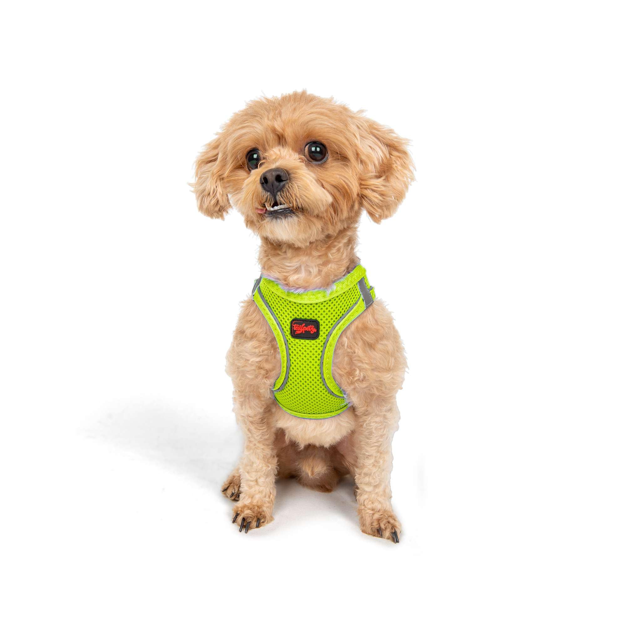 Tailpetz XXXS Dog Harness, Adjustable Step in No Pull Harness for Small Dogs, Reflective Puppy Harness for Puppy Training, Boy G