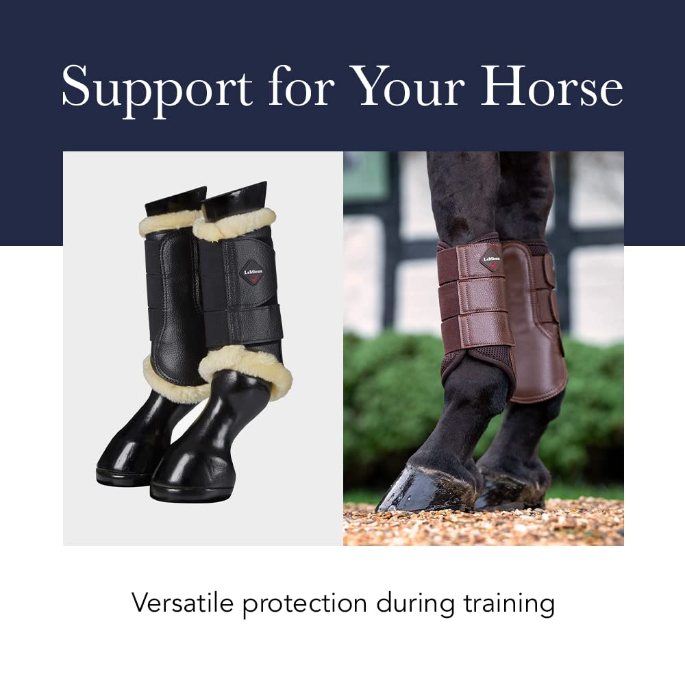 Lemieux Mesh Brushing Horse Boots - Protective Gear And Training Equipment - Equine Boots, Wraps & Accessories (Black - Medium)