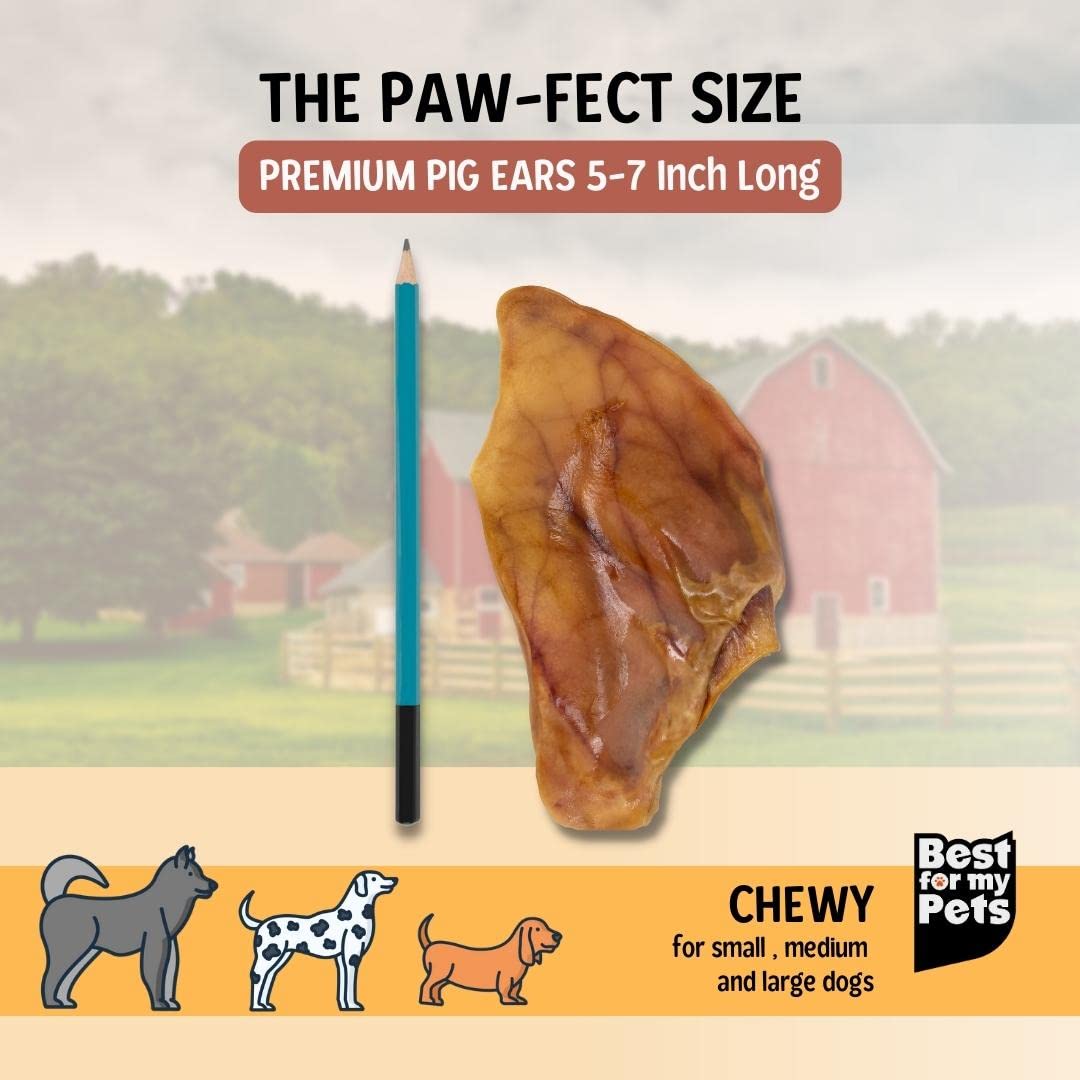 Best For My Pets Pig Ears for Dogs (Whole, 100 Pack), Healthy, Highly Digestible All Natural Pigs Ears Long-Lasting Dog Chews, P