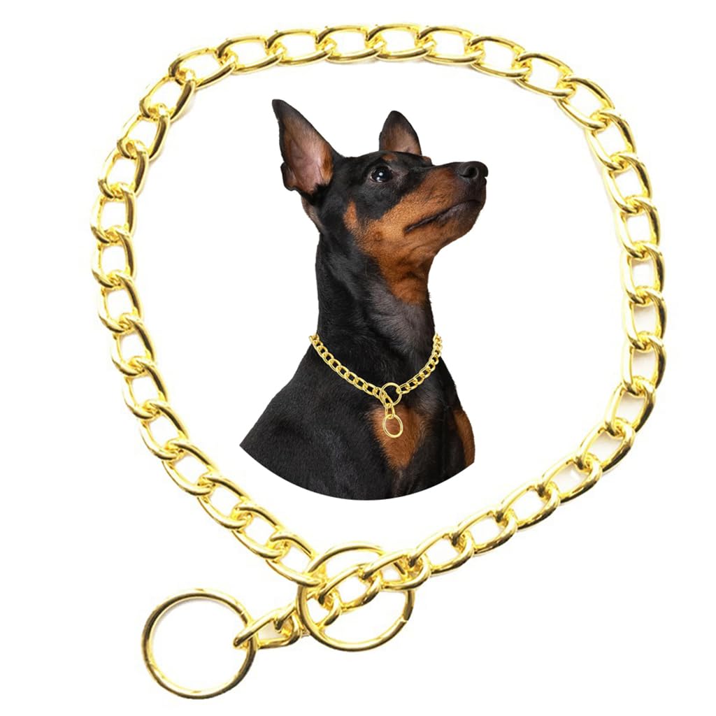 Chain Dog Collars For Medium Dogs, Golden M Metal Slip Link Training Heavy Duty Dog Collar Martingale Puppy Collars For Xxs Xs S