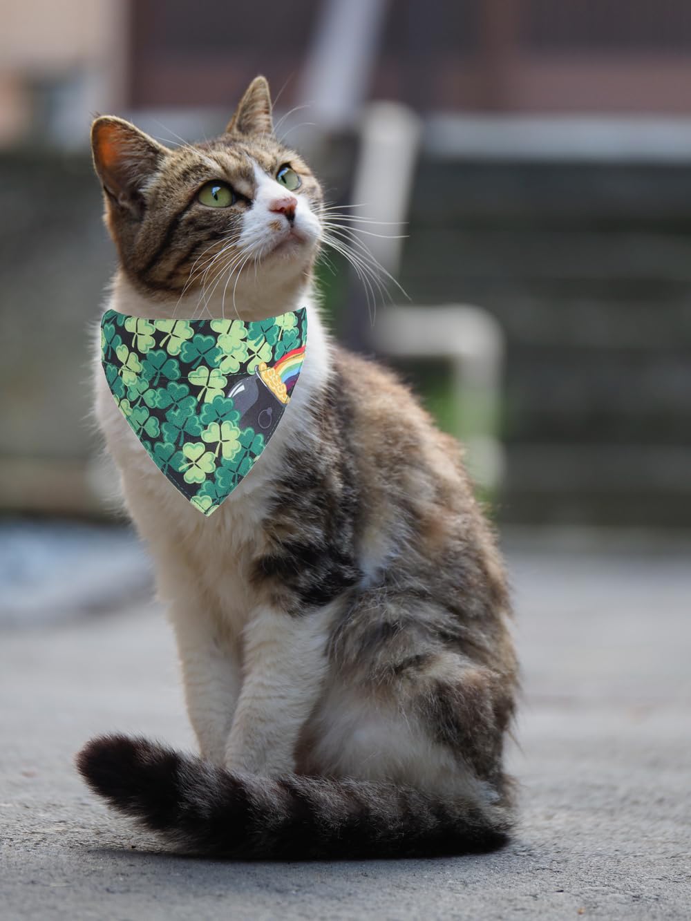 St.Patrick'S Day Cat Collars Breakaway With Bandana Bell Pet Kitten Adjustable Small Dog Puppies Girl Boy