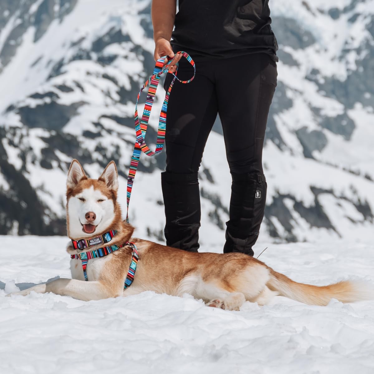 Wolfgang Heavy Duty Adjustable Dog Harness, Pull-Tested To Over 800 Lbs For Walking & Training, Quetzal Print, Extra Large