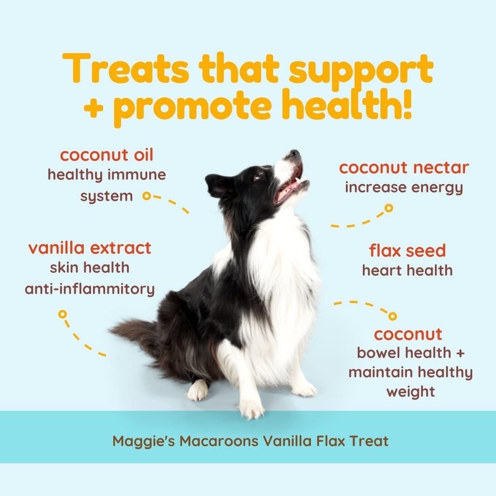 Cocotherapy Ctt-0011 MaggieS Macaroons Coconut Vanilla Flax (1 Pouch), 4 Oz