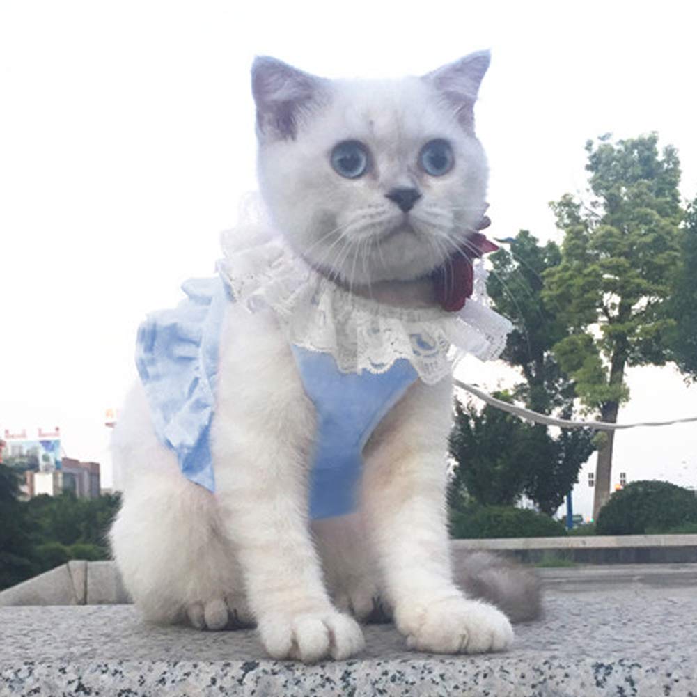 Creation Core Breathable Cat Lace Dress Harness With Matching Lead Leash Set(Blue,S)