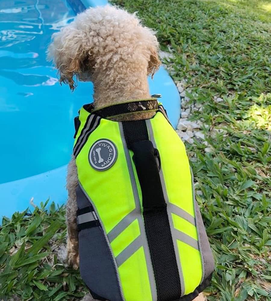 Vivaglory Sports Style Dog Life Jacket With Adjustable & Durable, Extra Flotation Swim Life Vest With Secure Fastening System Fo