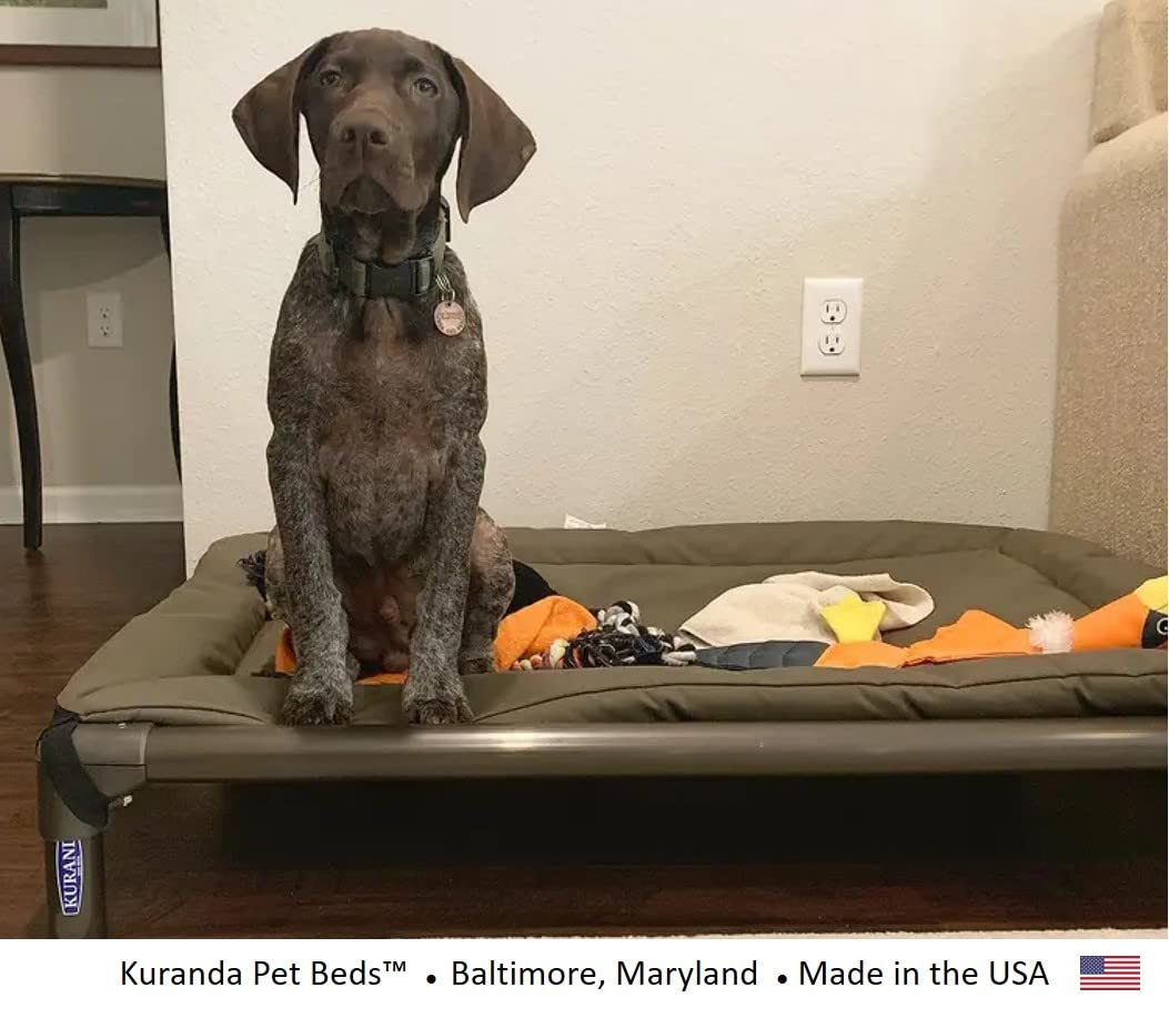 Kuranda Orthopedic Dog Bed Pad - Durable Cordura® Fabric, Large 40" x 25", Smoke