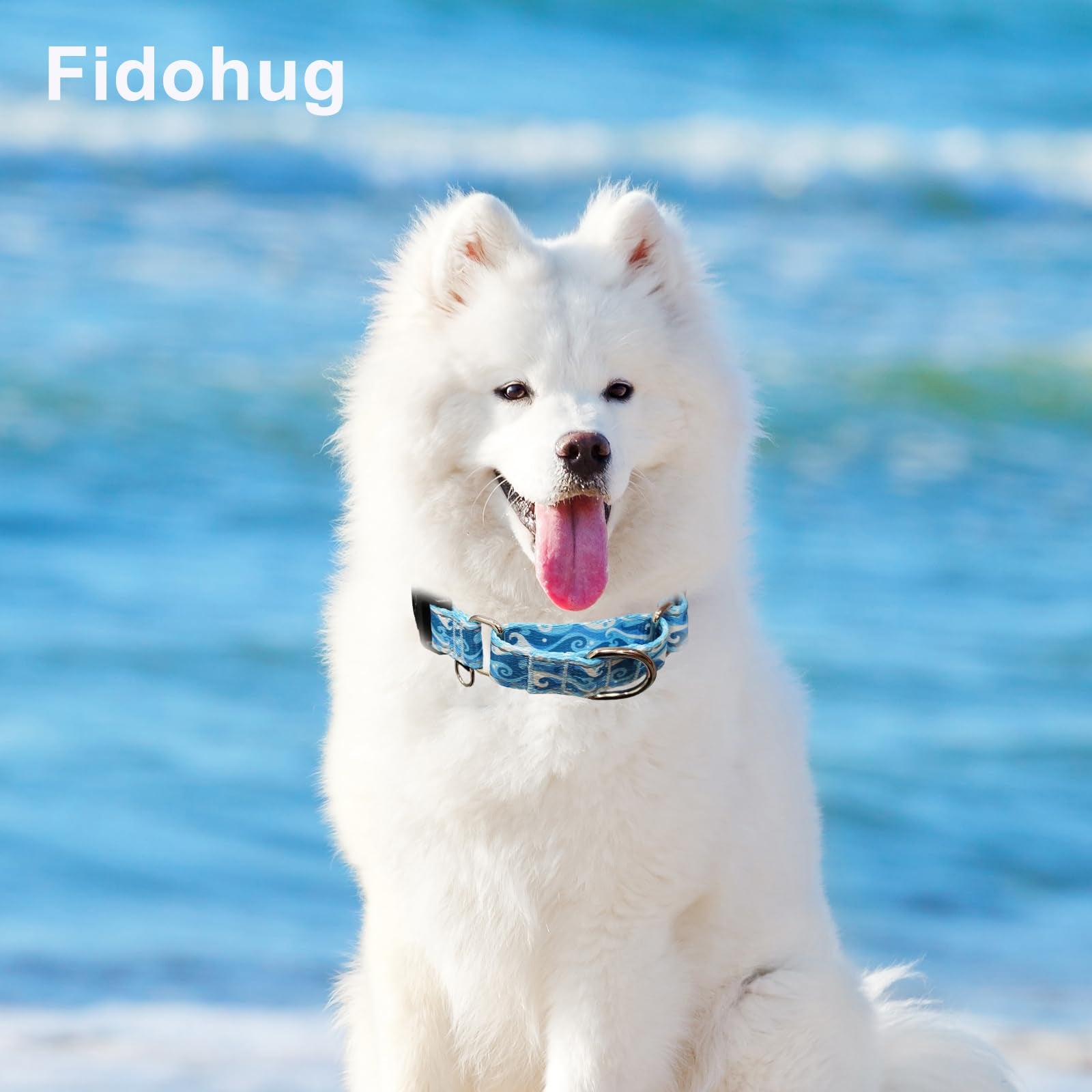 Fidohug Reflective Martingale Collar With Quick Release Buckle Anti Pulling Boy Male Adjustable Dog Collars (Blue Waves, Medium)