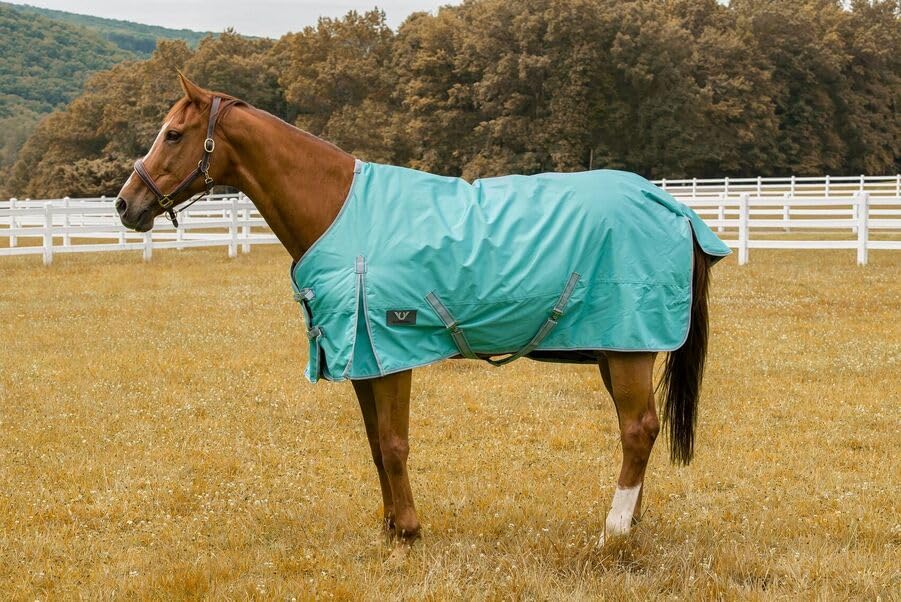 TuffRider 1200 D Comfy Winter Ripstop Turnout Blanket Medium Weight 200 GSM Standard Neck - Turquoise - 69