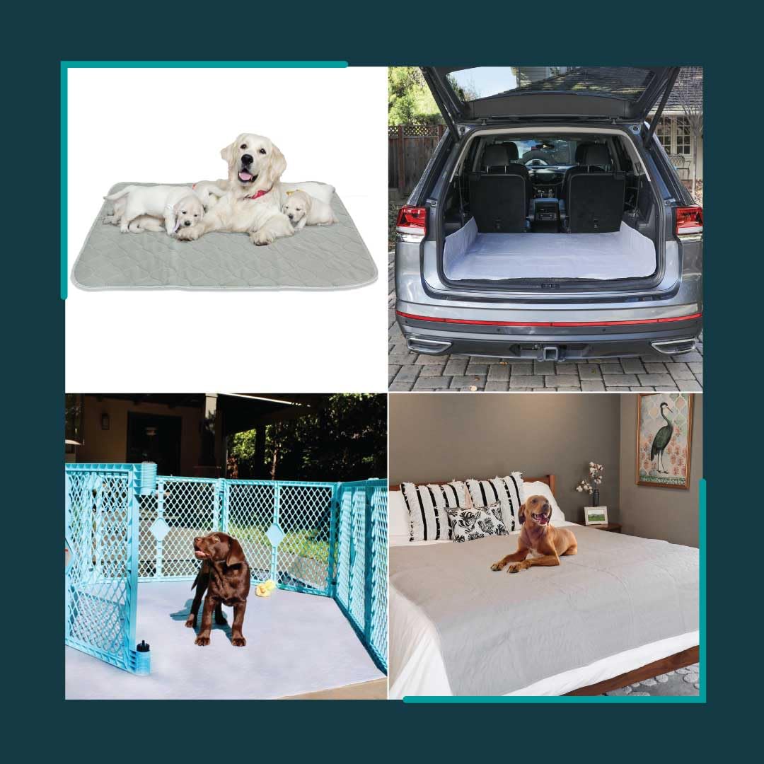 Rocket & Rex Premium Xl Non-Slip Washable Pee Pad For Dogs, Waterproof & Reusable Puppy Pad For Potty Training, Whelping, Travel