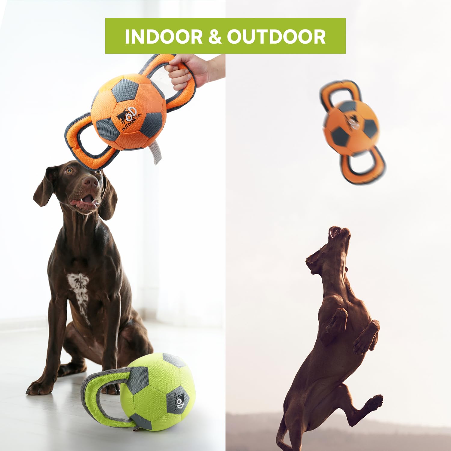 All For Paws Ballistic Handle Ball