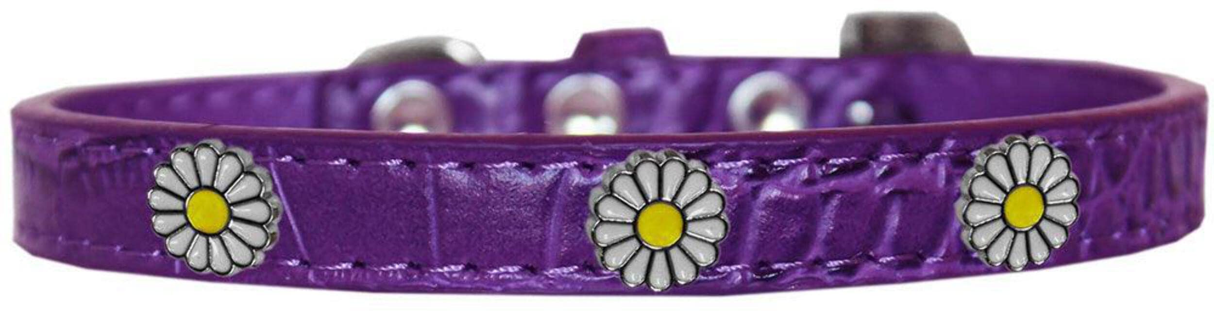 Dog, Puppy & Pet Designer Croc Widget Collar, "White Daisies" Purple 12