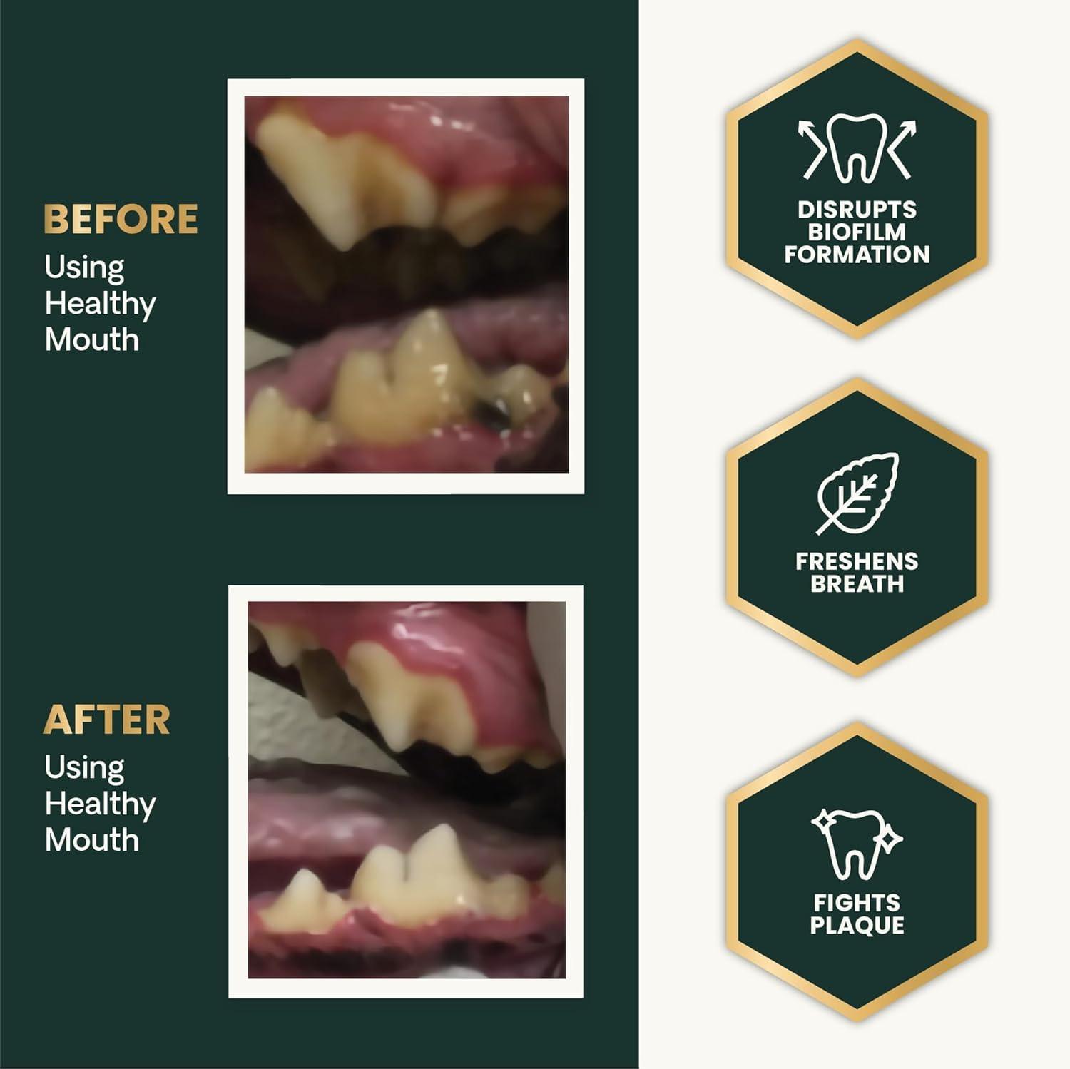 VetriScience Healthy Mouth Dog Dental Powder, 2Pack - Helps Reduce Plaque & Tartar Buildup, Support Clean Teeth & Fresh Breath,