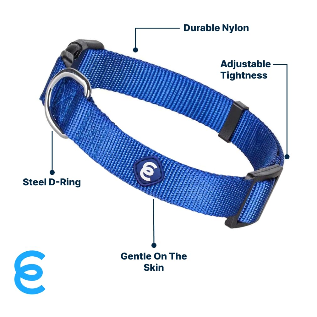 Blueberry Pet Essentials Matching Large Dog Collar | Adjustable Classic Solid Color Nylon Dog Collars For Large Dogs | Royal Blue Dog Collar For Large Dogs