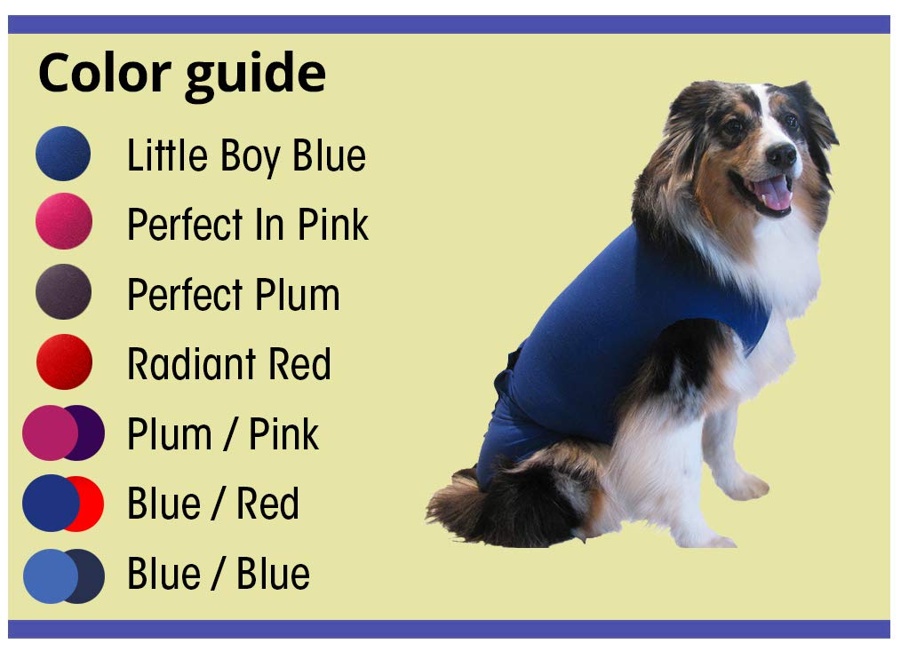 Surgi~Snuggly Washable Disposable Dog Diapers Keeper - for Male and Female Dogs - Wrap Around Legs for Superior Fit - Fits (XLS