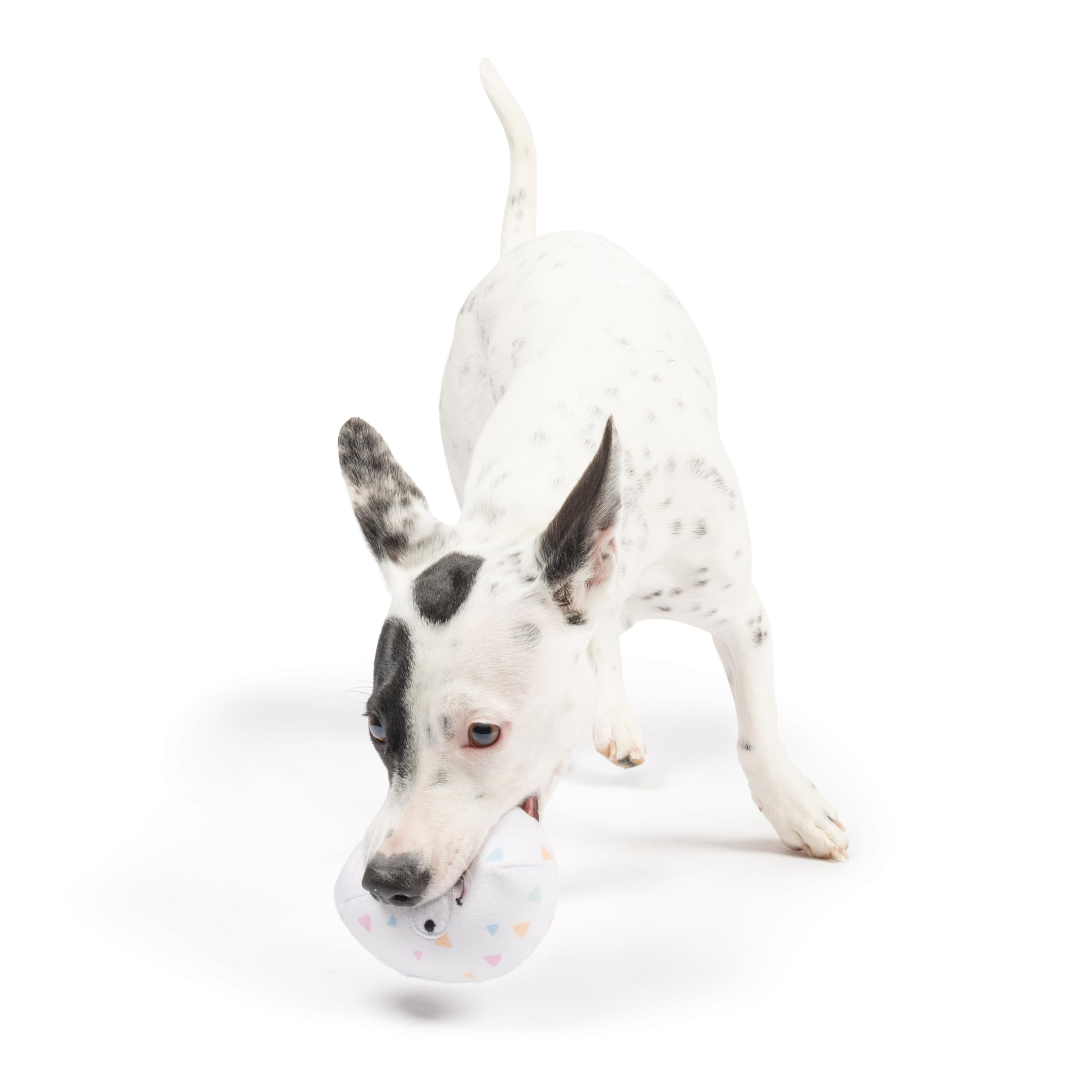 Huxley & Kent Tiny Tuff - Squeaky Eggs - Easter/Spring Extra Tough Dog Toy For Small Dogs - 2-Pack Funny Dog Toy - Features Sque