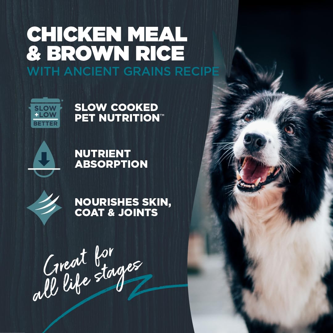 Blackwood Complete & Balanced Diet Dry Dog Food, Chicken Meal & Brown Rice with Ancient Grains, 4.5 Pound Bag, Slow Cooked with