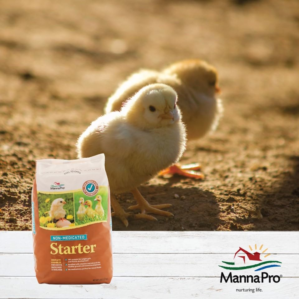 Manna Pro Non-Medicated Starter Crumble Feed for Chicks & Ducklings|Formulated with Vitamins & Minerals|5 Pounds