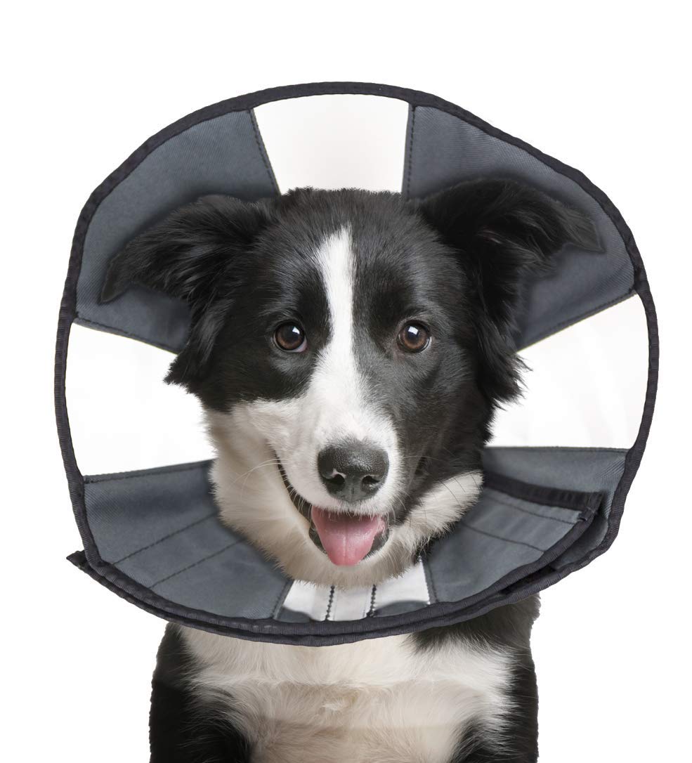 ZenPet Pet Recovery Cone E-Collar for Dogs and Cats - Always Use with Your Pets Everyday Collar - Comfortable Soft Collar is Ad