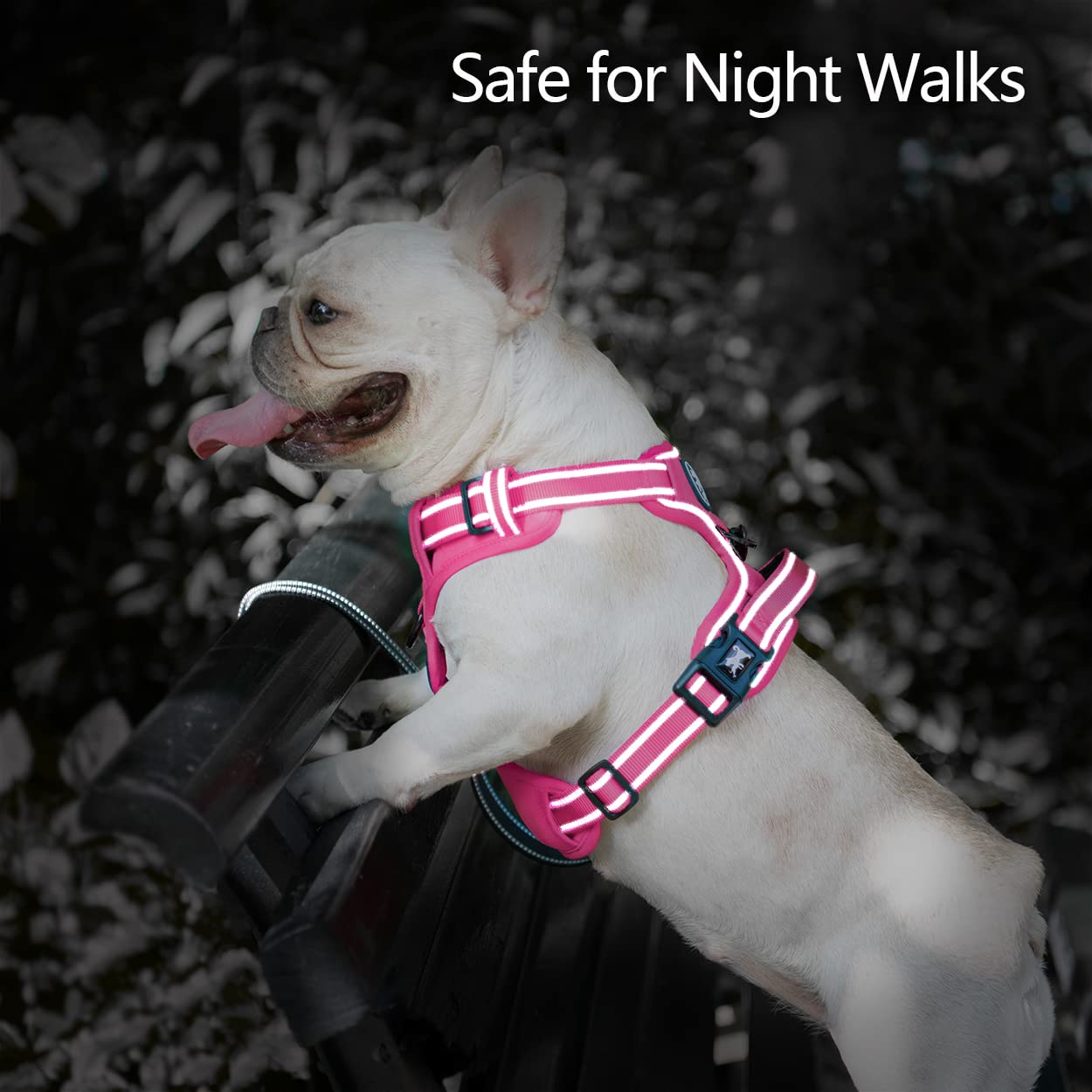 PoyPet No Pull Dog Harness, Adjustable XS Reflective Vest, Pink Trim, Model 280510