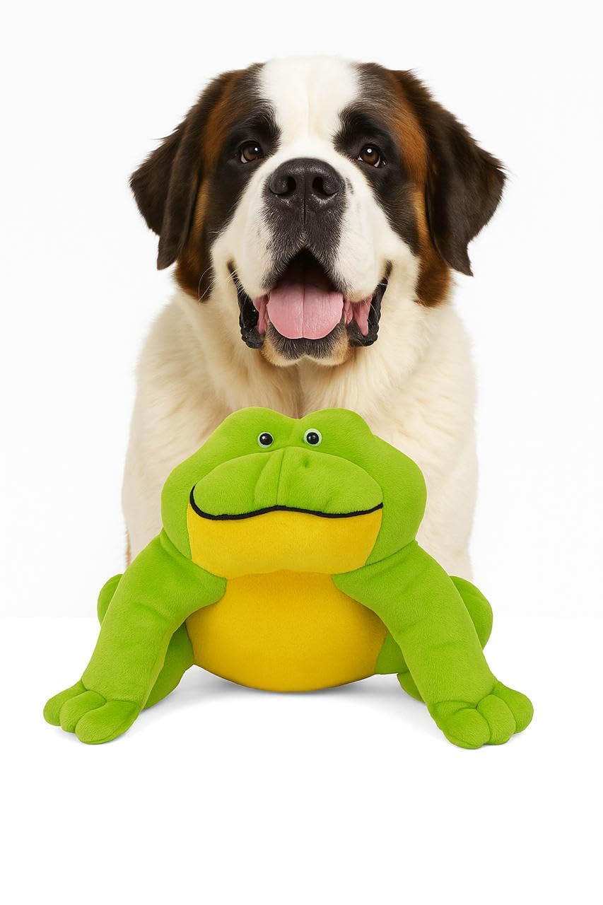 WAGGYTAILS Olive Green Deluxe Quality Soft Frog Toy for Dog  35 x 35 cm (Made in Australia) Soft Squeaky Interactive Dog Toy wi