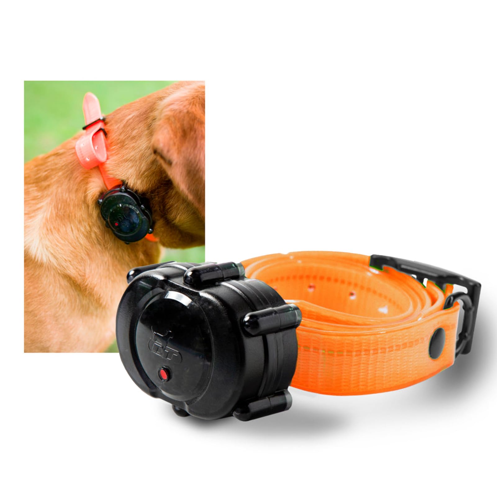Micro-Idt Add-On Or Replacement Collar - Orange
