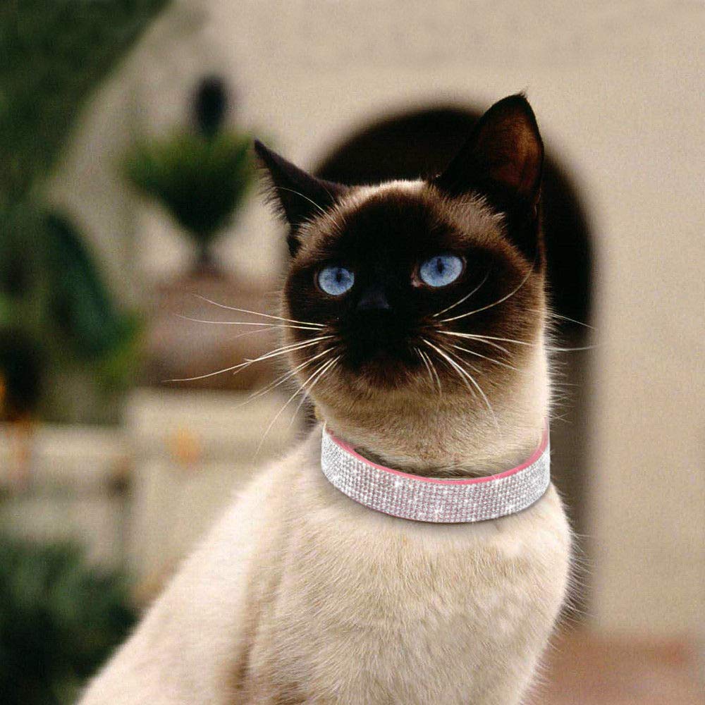 Bbmmayy Cute Dog Collar With Bling Rhinestone, Fancy Crystal Diamond Glitter Pretty Jewel Soft Cat Collars For Small Medium Larg