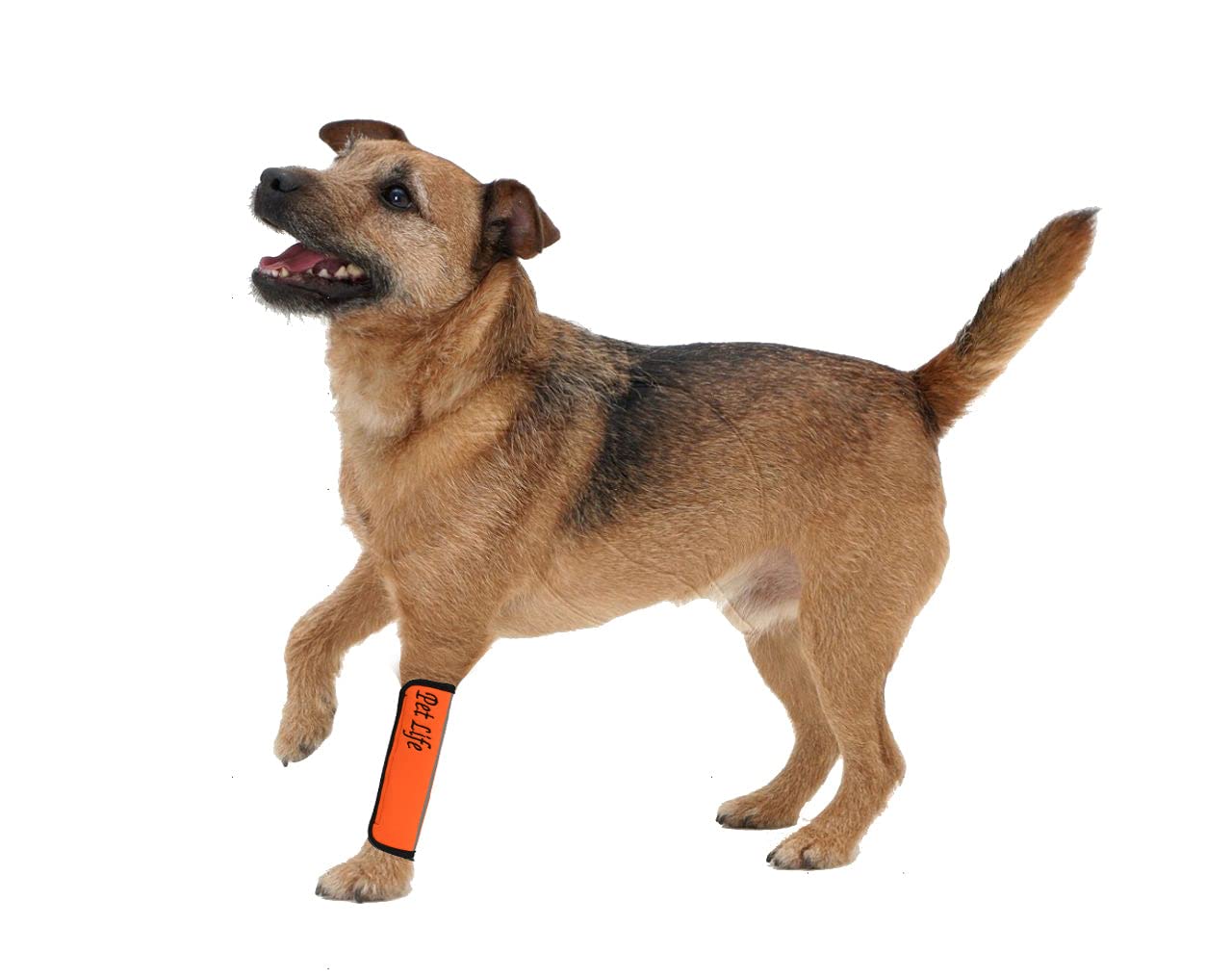 Pet Life Extreme Neoprene Reflective Dog Joint Sleeves - Large, Orange, Hook-and-Loop First Aid Bandages for Joint Support