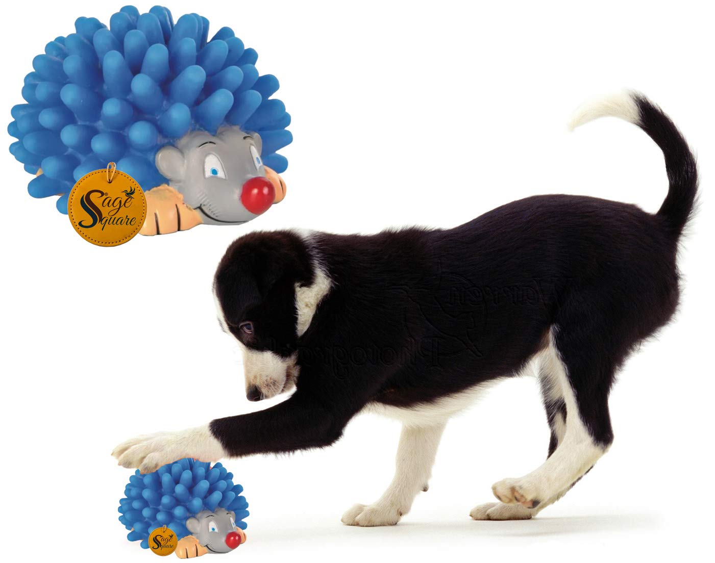 Sage Square Playful Procupine Squeaky Toy For Playtime Of Cute Friend Of Natural Rubber For Dog, Puppy, Kitten, Cat (Random)