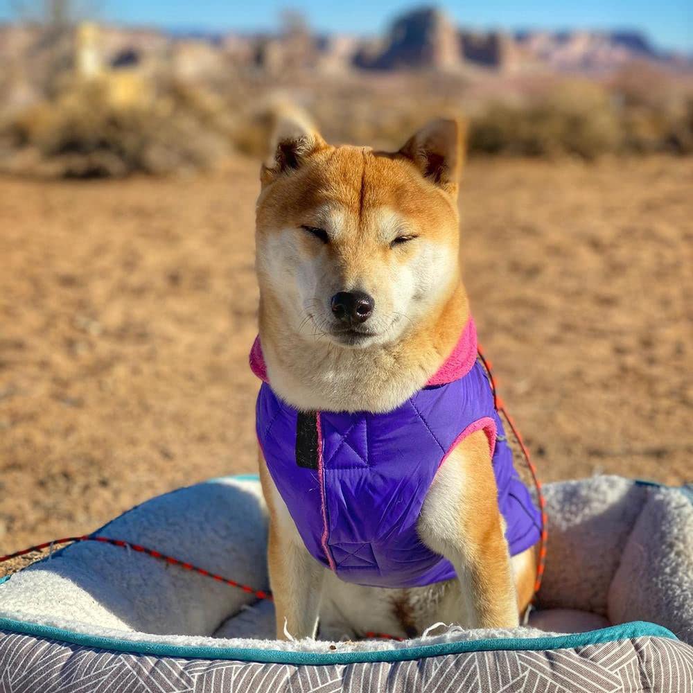 Gooby - Sports Vest, Fleece Lined Small Dog Cold Weather Jacket Coat Sweater With Reflective Lining, Purple, Medium