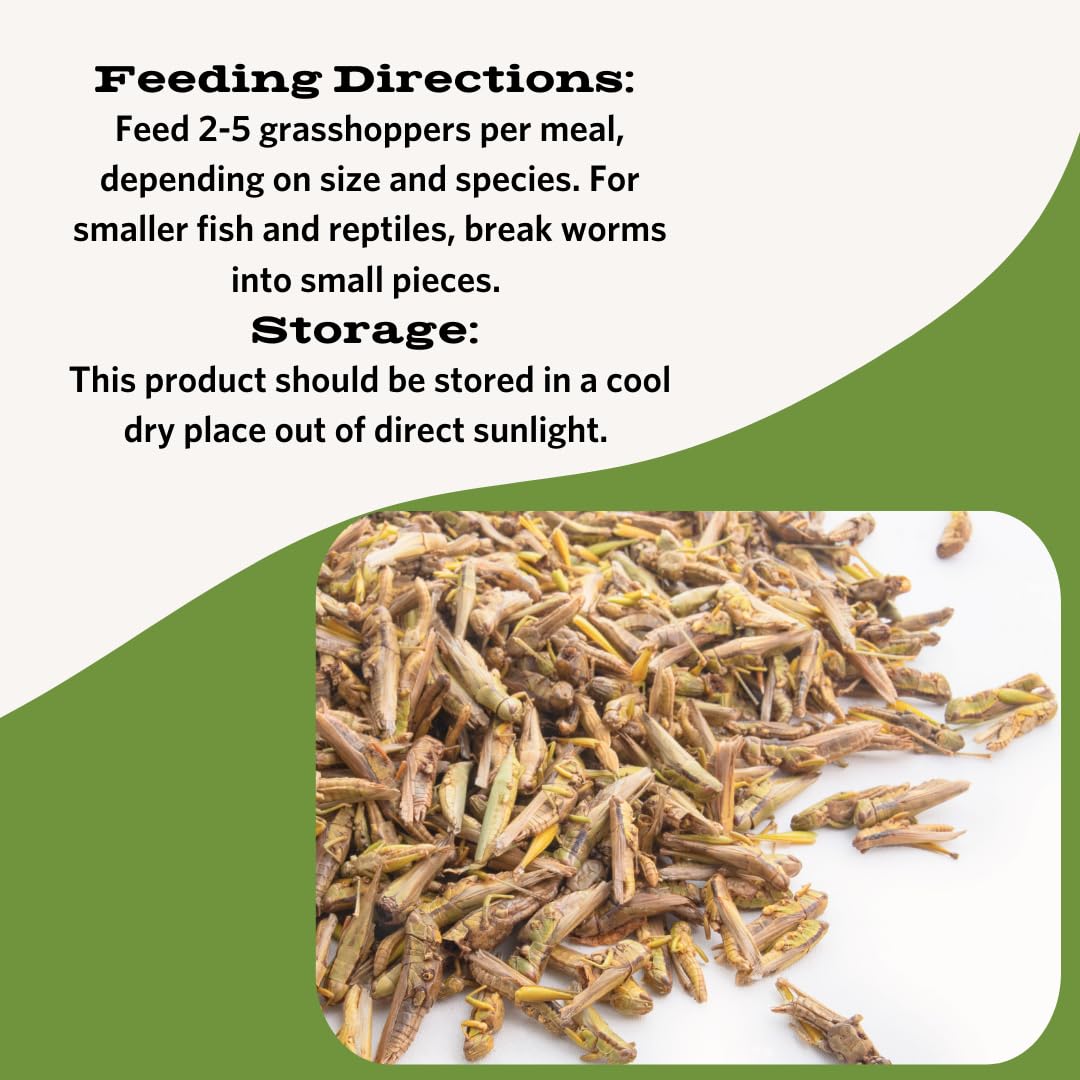 Fluker's Freeze Dried Grasshoppers for Reptiles, Packed with Protein and Essential Nutrients, 1 lb. Value Pack