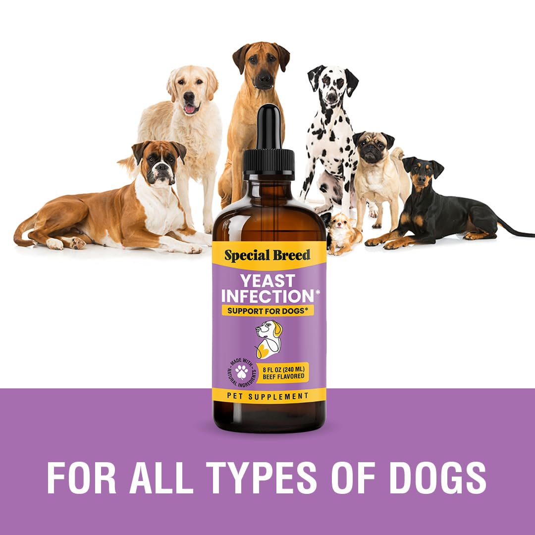Special Breed Natural Yeast Infection Relief for Dogs, 8oz Liquid Drops - Supports Allergy & Immune Health, Reduces Itching & Irritation