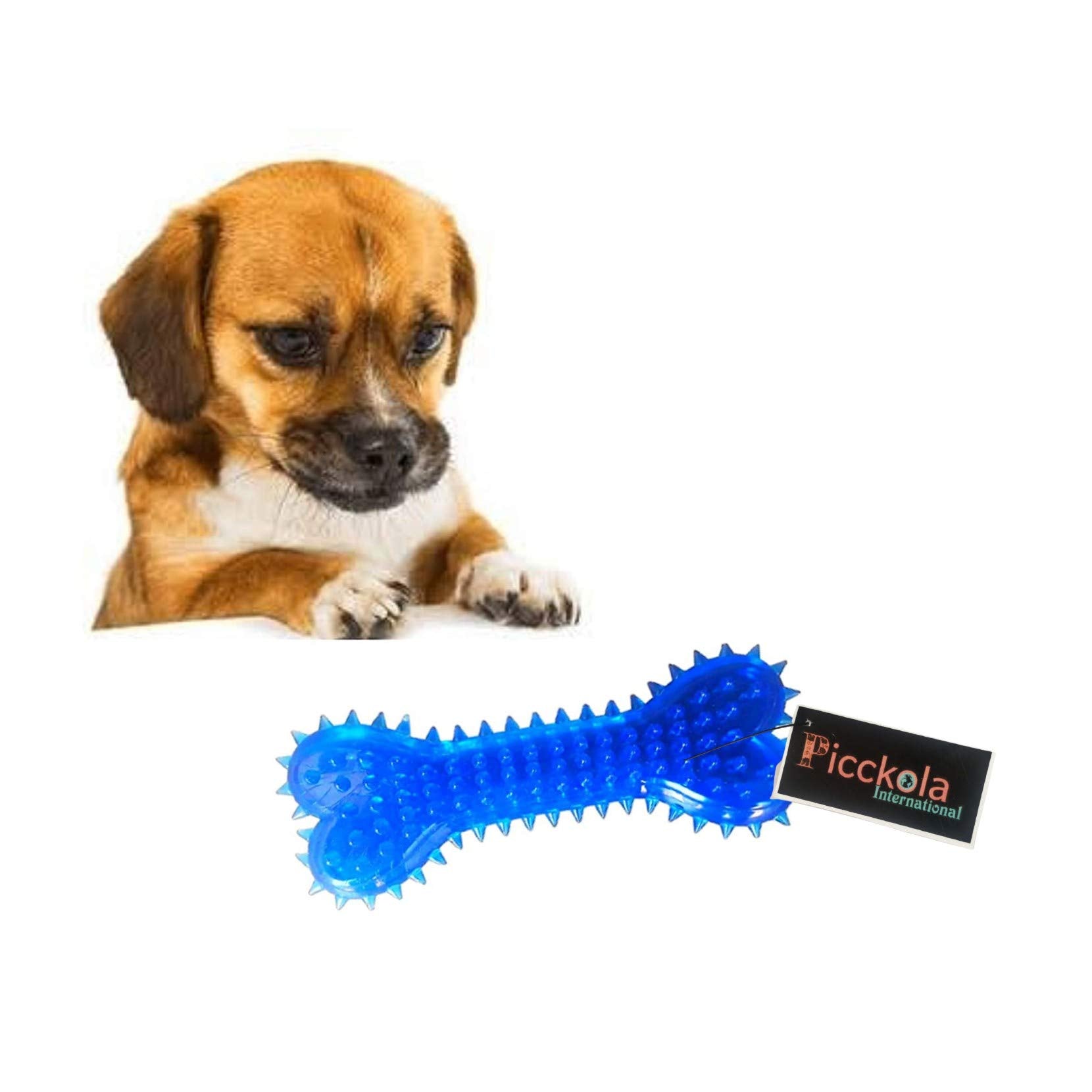Picckola International 100% Non Toxic Rubber Flavoured Puppy Bone Toy Hard Spike Bone Chew Toy Teething Toy (Hard Spike Bone, Co