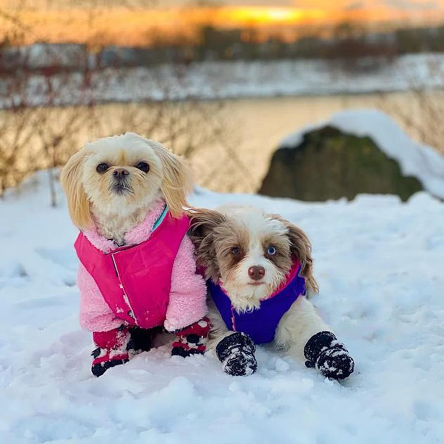 Gooby - Sports Vest, Fleece Lined Small Dog Cold Weather Jacket Coat Sweater With Reflective Lining, Pink, X-Large