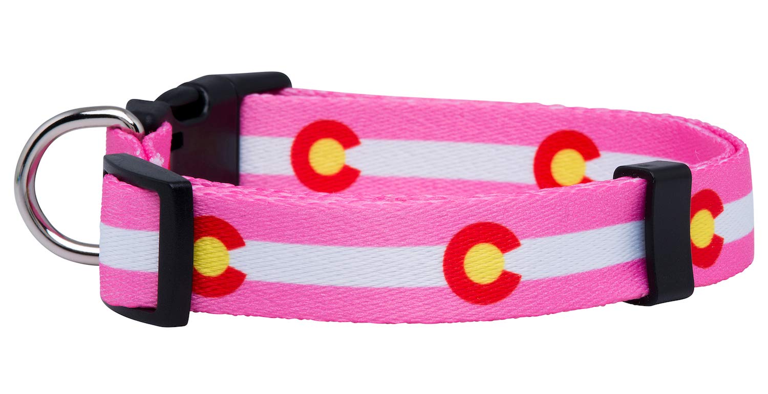 Native Pup Colorado State Flag Dog Collar (Colorado Pink, Medium)